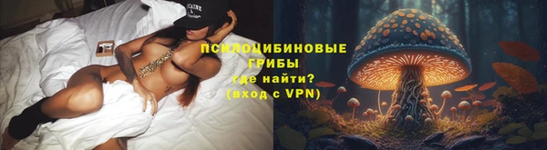 трава Армянск
