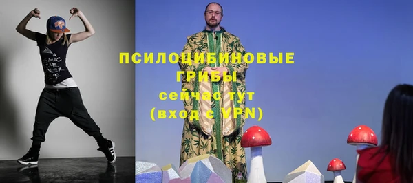 дмт Аркадак