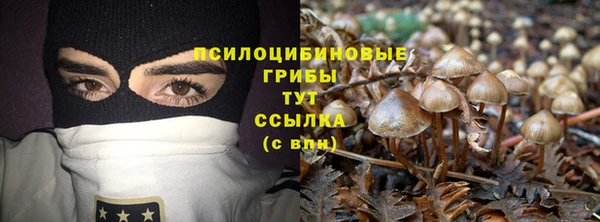 трава Армянск